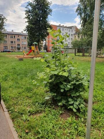 Фото номера Апартаменты - 1-й этаж Апартаменты Apartament Erfolg 6 г. Даугавпилс 64