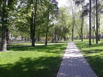 Фото номера Апартаменты-студио Апартаменты Town Center Studio Apartment г. Даугавпилс 19