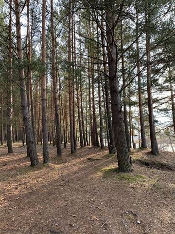 Фото номера Апартаменты с 1 спальней Апартаменты Florin apartment г. Даугавпилс 39