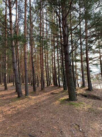 Фото номера Апартаменты с 1 спальней Апартаменты Florin apartment г. Даугавпилс 58