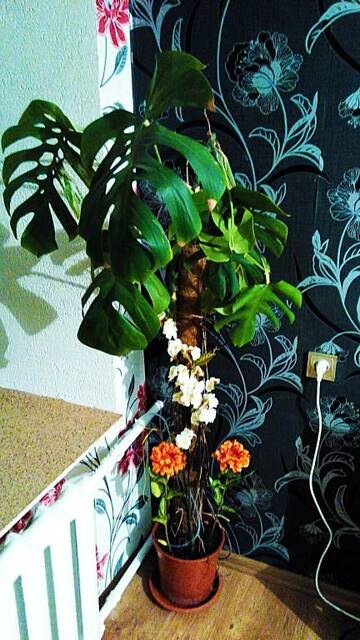 Фото номера Апартаменты Апартаменты Picturesque apartment into antique fortress г. Даугавпилс 48