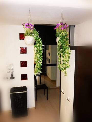 Фото номера Апартаменты Апартаменты Apartment VIP Daugavpils city center г. Даугавпилс 12